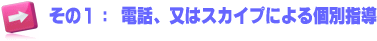 電話、又はスカイプによる個別指導